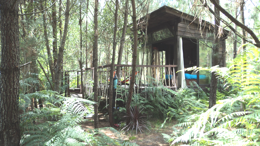 Les Landines Aquitania - Origne visuel 3/6