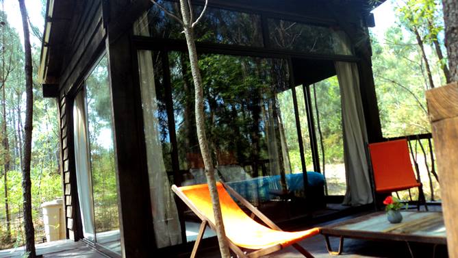 Les Landines Aquitania - Origne visuel 4/6