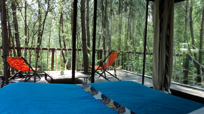 Les Landines Aquitania - Origne visuel 5/6