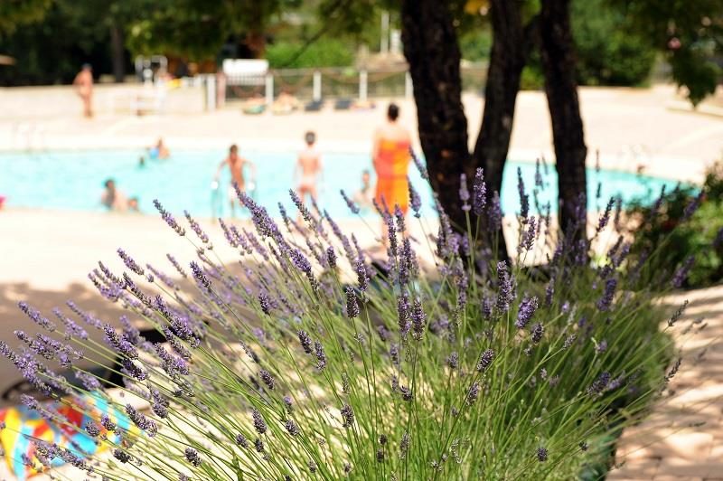 Les LauzonsDomaine Naturiste - Provenza-Alpes-Costa Azul - Limans visuel 5/7 Les LauzonsDomaine Naturiste - Provenza-Alpes-Costa Azul - Limans visuel 5/7