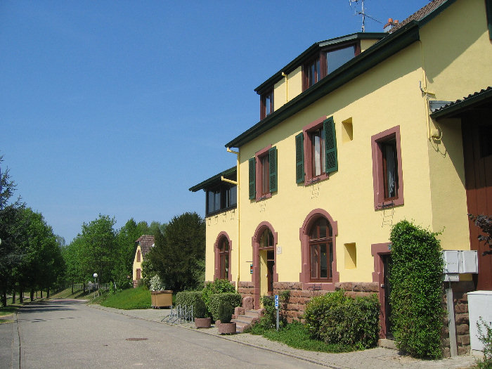 Les Lupins Alsacia - Seppois-le-Bas visuel 3/10 Les Lupins Alsacia - Seppois-le-Bas visuel 3/10