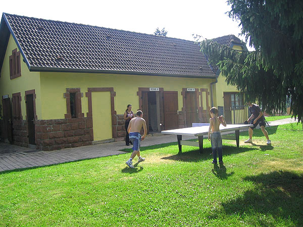 Les Lupins Alsacia - Seppois-le-Bas visuel 5/10 Les Lupins Alsacia - Seppois-le-Bas visuel 5/10