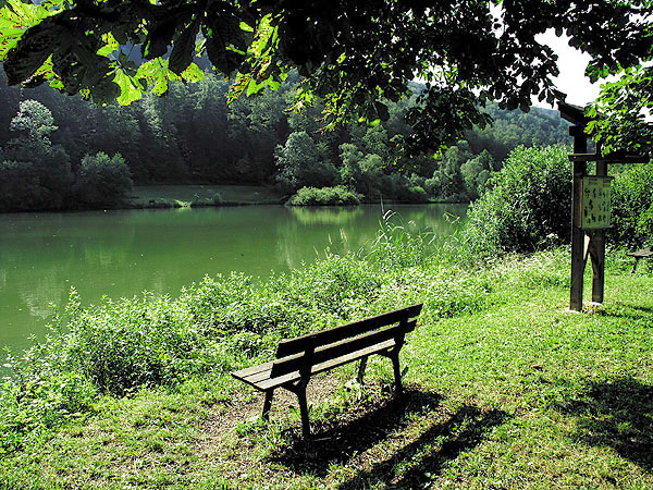 Les Lupins Alsacia - Seppois-le-Bas visuel 7/10 Les Lupins Alsacia - Seppois-le-Bas visuel 7/10