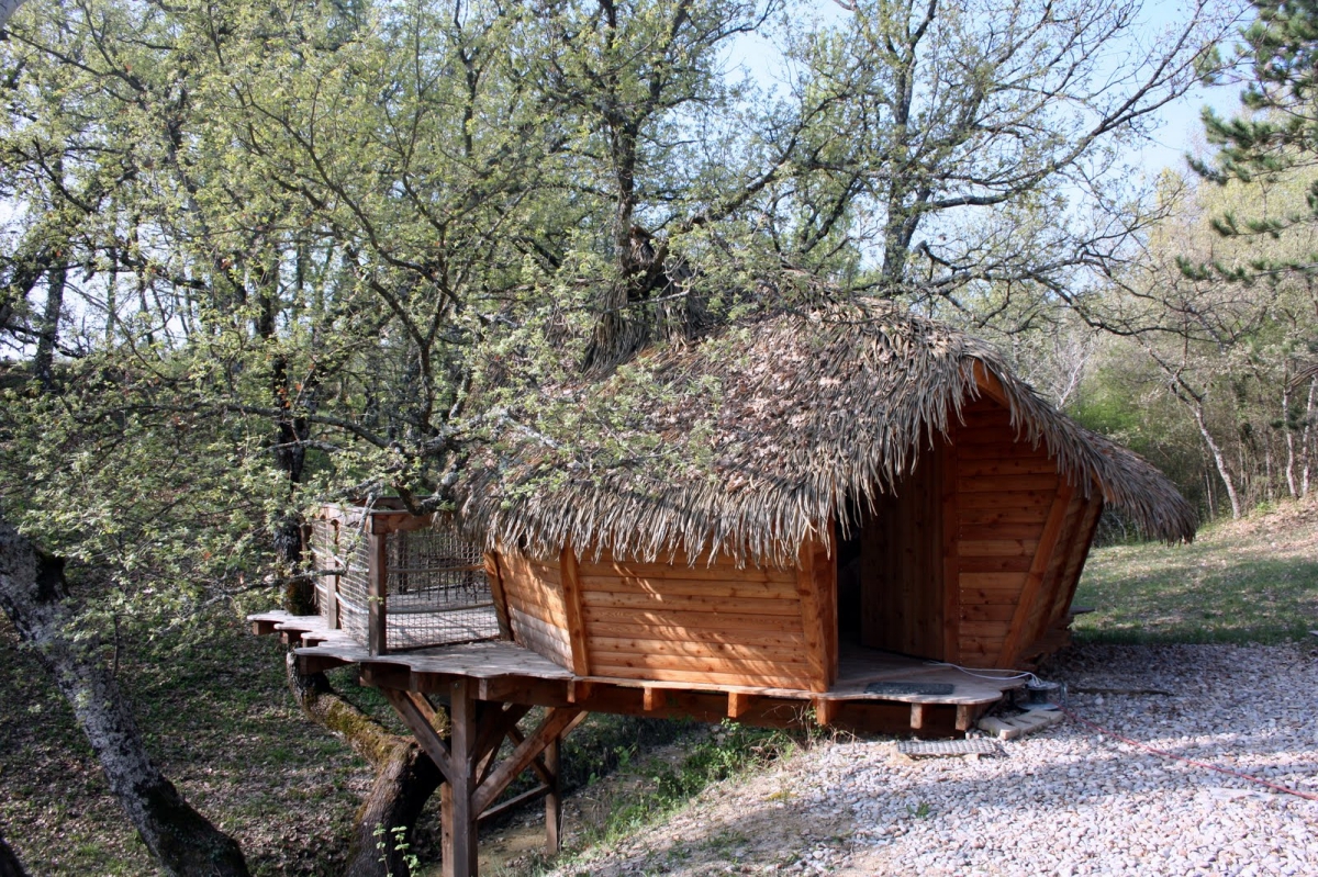 Les Maisons de Chante Oiseau Provenza-Alpes-Costa Azul - Sigonce visuel 7/9
