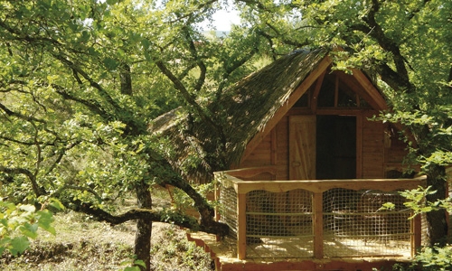 Les Maisons de Chante Oiseau Provenza-Alpes-Costa Azul - Sigonce visuel 9/9
