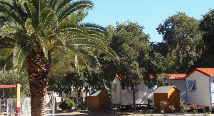 Les Micocouliers Languedoc-Rosellón - Sorède visuel 2/3 Les Micocouliers Languedoc-Rosellón - Sorède visuel 2/3