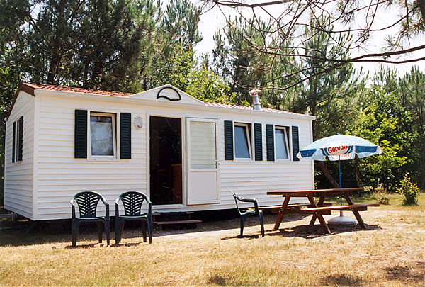 Les Mimosas Aquitania - Carcans visuel 3/3