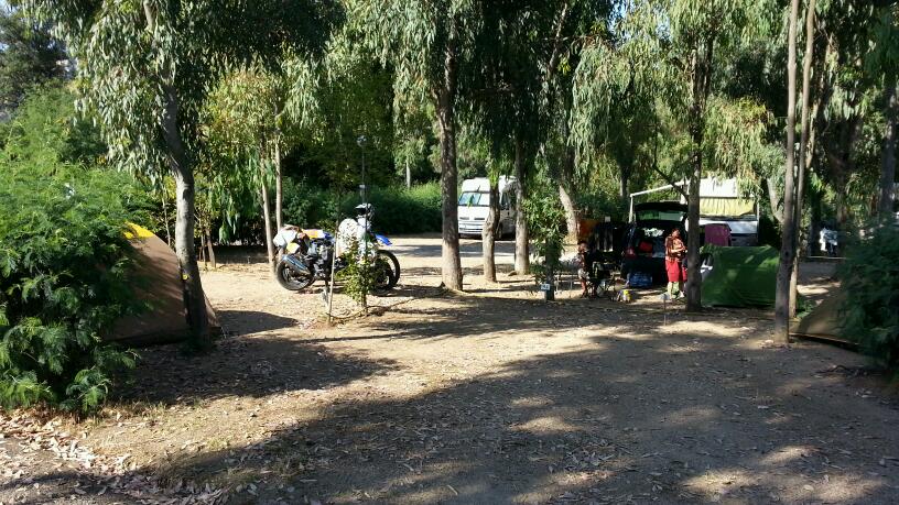 Les Mimosas Córcega - Ajaccio visuel 2/2