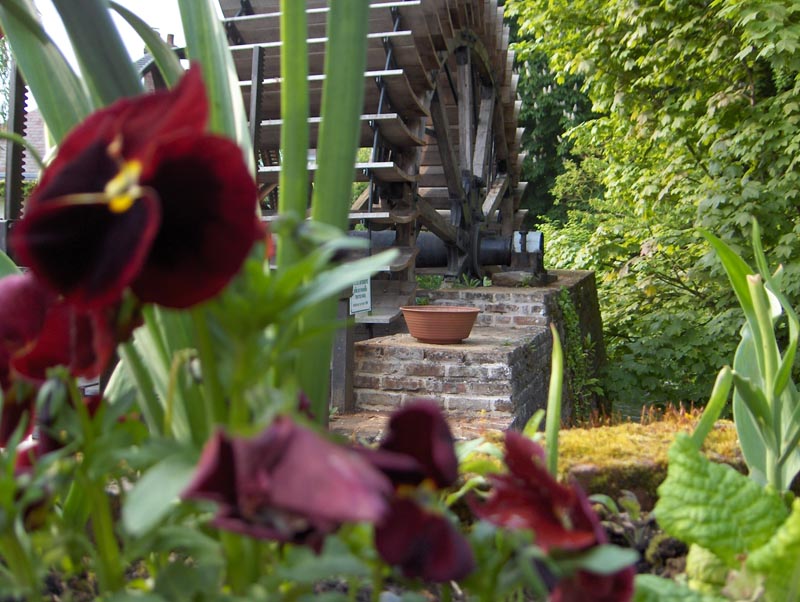 Les Mouettes Alta Normandía - Veules-les-Roses visuel 6/11 Les Mouettes Alta Normandía - Veules-les-Roses visuel 6/11