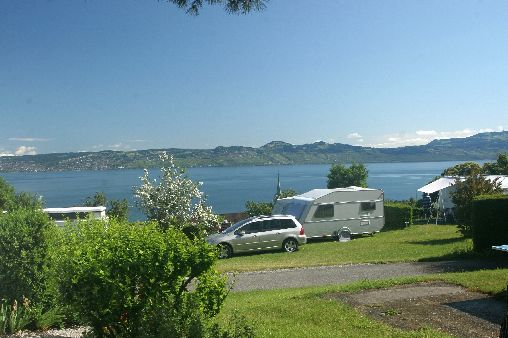 Les Myosotis Ródano-Alpes - Lugrin visuel 1/1 Les Myosotis Ródano-Alpes - Lugrin visuel 1/1