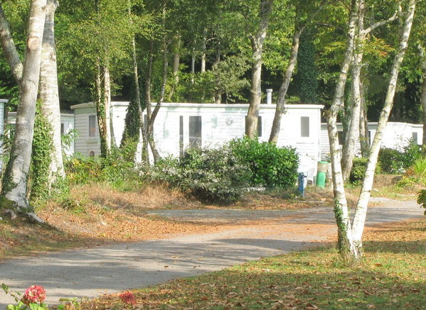 Les Myrtilles Bretaña - Saint-Yvi visuel 7/7 Les Myrtilles Bretaña - Saint-Yvi visuel 7/7