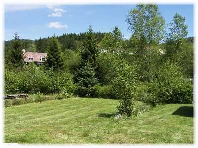 Les Myrtilles Lorena - Gérardmer visuel 4/10 Les Myrtilles Lorena - Gérardmer visuel 4/10