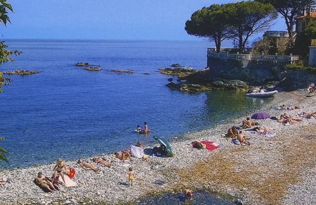 Les Orangers Córcega - MIOMO visuel 1/1