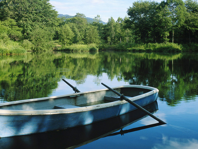 Les Petits Prés Aquitania - Vitrac visuel 6/6