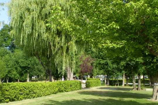 Les Peupliers Aquitania - Vendays-Montalivet visuel 2/10 Les Peupliers Aquitania - Vendays-Montalivet visuel 2/10