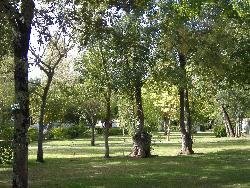 Les Peupliers Aquitania - Vendays-Montalivet visuel 9/10 Les Peupliers Aquitania - Vendays-Montalivet visuel 9/10