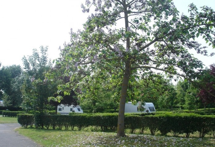 Les Peupliers centro valle - Montlouis-sur-Loire visuel 10/11 Les Peupliers centro valle - Montlouis-sur-Loire visuel 10/11