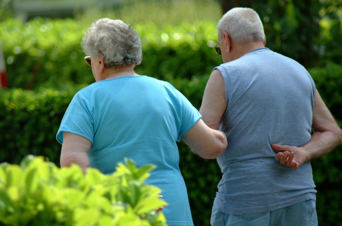 Canoë Gorges du Tarn Mediodía-Pirineos - Rivière-sur-Tarn visuel 7/11 Canoë Gorges du Tarn Mediodía-Pirineos - Rivière-sur-Tarn visuel 7/11