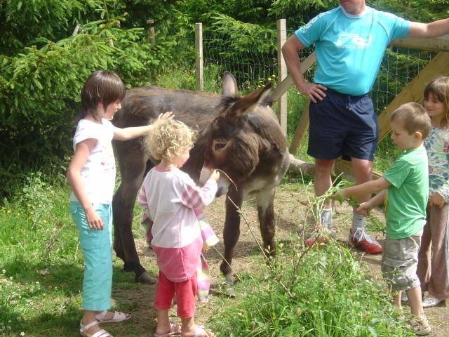 Les Pins Bretaña - Carnac visuel 5/5