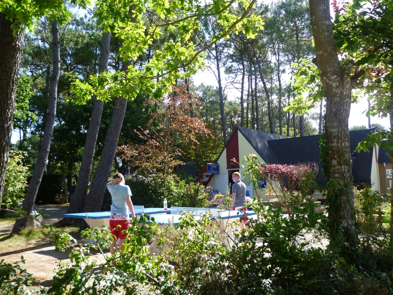 Les Pins Bretaña - Crozon visuel 5/8