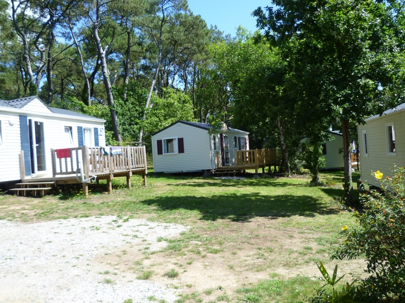 Les Pins Bretaña - Crozon visuel 8/8