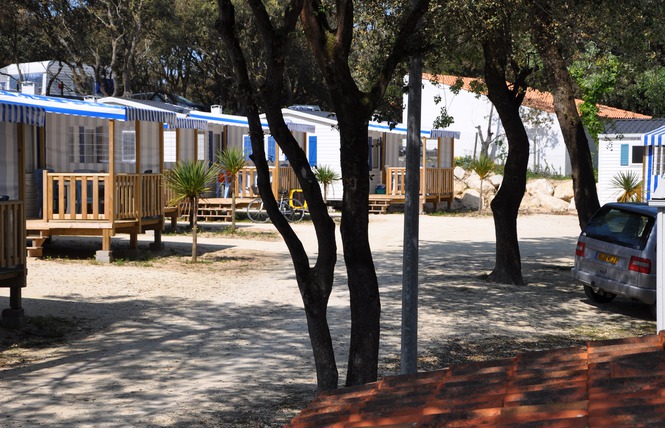 Les Pins Poitou-Charentes - Saint-Pierre-d'Oléron visuel 1/1 Les Pins Poitou-Charentes - Saint-Pierre-d'Oléron visuel 1/1