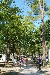 Les Pins de la Coubre Poitou-Charentes - Les Mathes-La Palmyre visuel 4/4