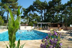 Les Pins de la Coubre Poitou-Charentes - Les Mathes-La Palmyre visuel 1/4