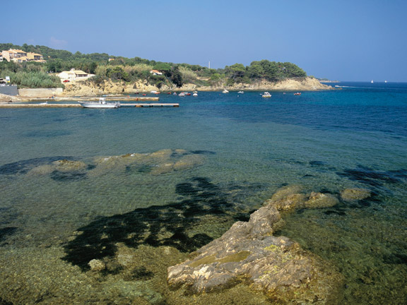 Les Pins Maritimes Provenza-Alpes-Costa Azul - Hyères visuel 4/10 Les Pins Maritimes Provenza-Alpes-Costa Azul - Hyères visuel 4/10