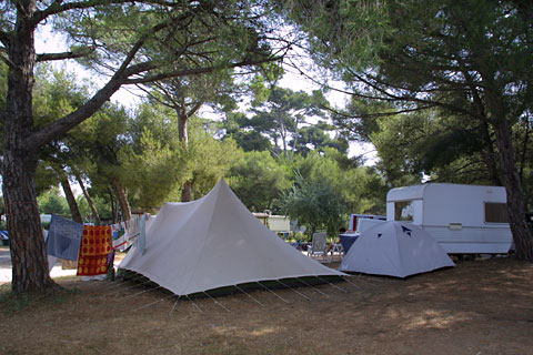 Les Pins Maritimes Provenza-Alpes-Costa Azul - Hyères visuel 6/10 Les Pins Maritimes Provenza-Alpes-Costa Azul - Hyères visuel 6/10