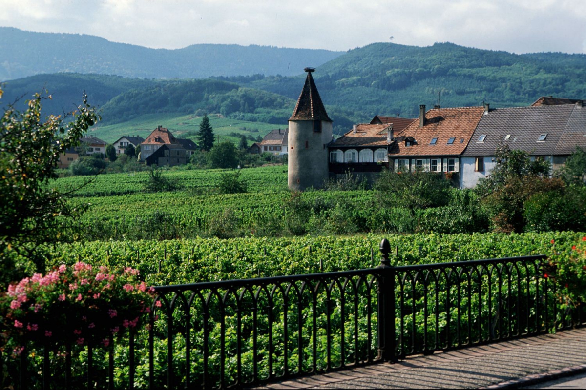 Les Portes d'Alsace Alsacia - Saverne visuel 9/9 Les Portes d'Alsace Alsacia - Saverne visuel 9/9