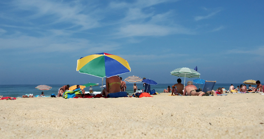 Les Prairies de L'Etang Países del Loira - Assérac visuel 2/9 Les Prairies de L'Etang Países del Loira - Assérac visuel 2/9