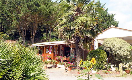 Les Ramiers Países del Loira - Longeville sur Mer visuel 1/1 Les Ramiers Países del Loira - Longeville sur Mer visuel 1/1