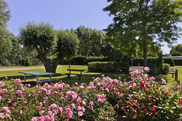 Les Résidences La Becque Norte-Paso de Calais - Warhem visuel 7/9 Les Résidences La Becque Norte-Paso de Calais - Warhem visuel 7/9