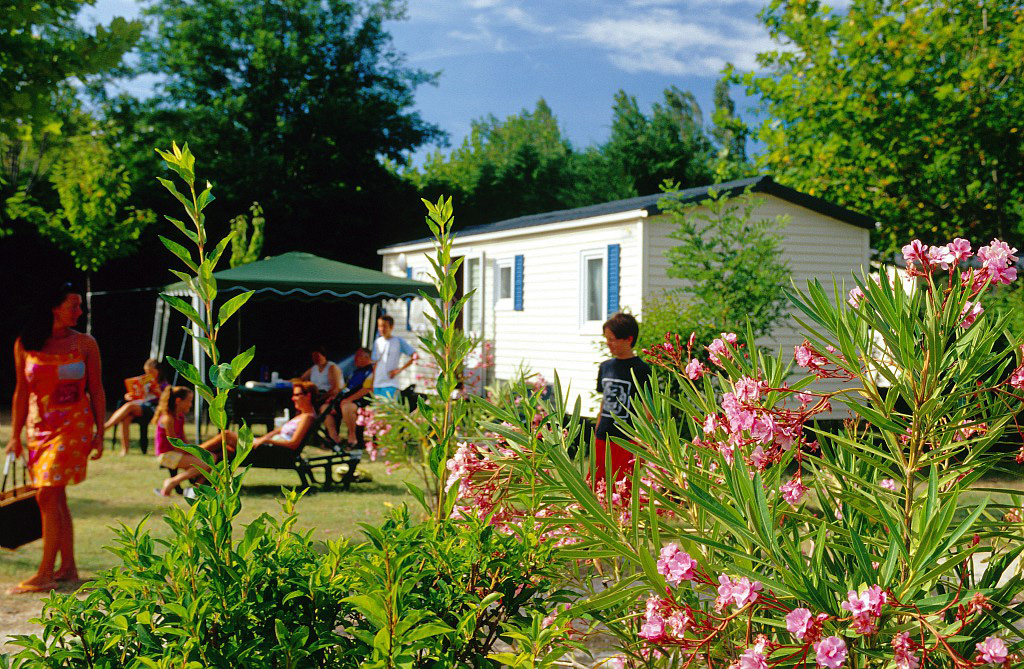 Les Rives du Lubéron Provenza-Alpes-Costa Azul - Cheval-Blanc visuel 8/17