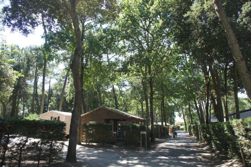 Les Rochelets Países del Loira - Saint-Brévin-les-Pins visuel 5/8