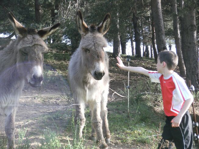 Les Rôches Ródano-Alpes - Le Crestet visuel 8/11