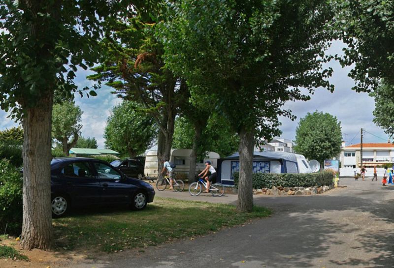 Les Roses Países del Loira - Les Sables-d'Olonne visuel 6/11 Les Roses Países del Loira - Les Sables-d'Olonne visuel 6/11