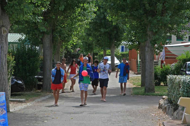 Les Roses Países del Loira - Les Sables-d'Olonne visuel 10/11 Les Roses Países del Loira - Les Sables-d'Olonne visuel 10/11
