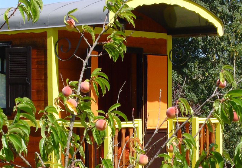 Les Roulottes de Saint Salvy Aquitania - Saint-Salvy visuel 3/3 Les Roulottes de Saint Salvy Aquitania - Saint-Salvy visuel 3/3