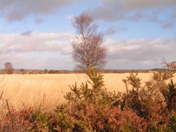 Les Roulottes des Korrigans Bretaña - Brasparts visuel 4/10 Les Roulottes des Korrigans Bretaña - Brasparts visuel 4/10