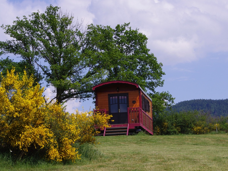 Les Roulottes du Livradois Auvernia - Cunlhat visuel 3/5