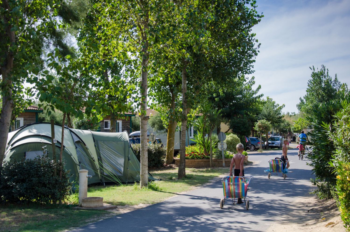 Les Sablons Languedoc-Rosellón - Portiragnes visuel 21/25