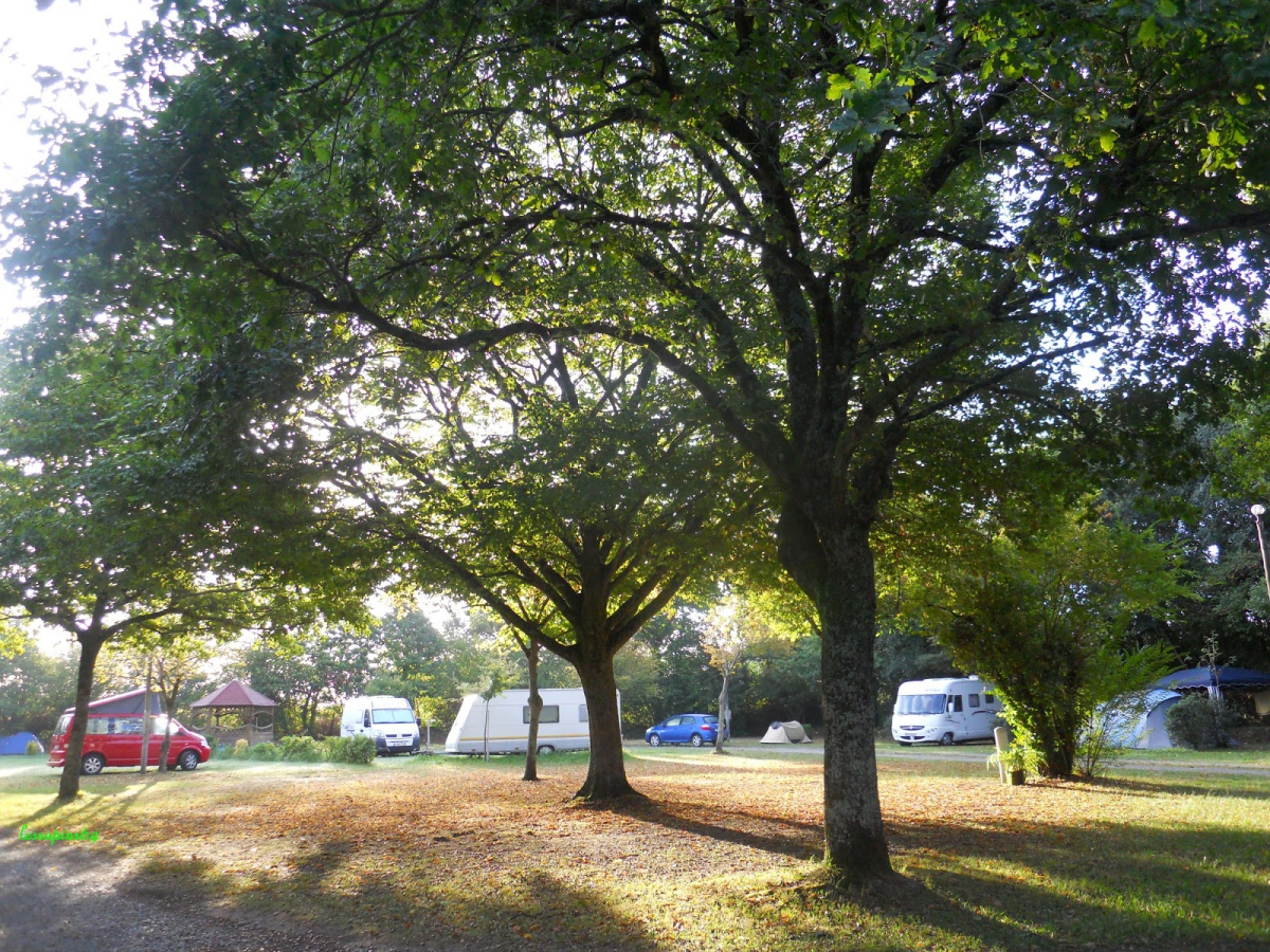 Les Sapins Aquitania - Ousse visuel 1/1 Les Sapins Aquitania - Ousse visuel 1/1