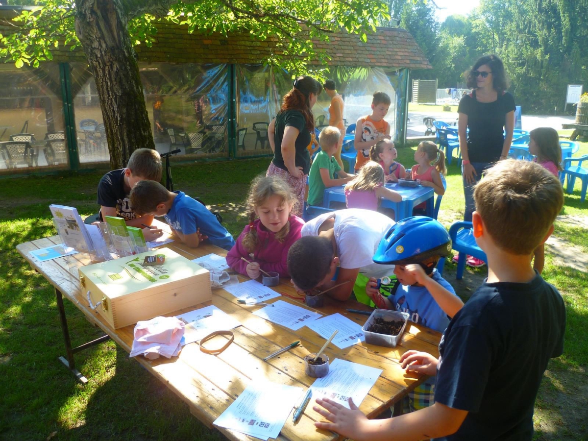 Les Saules centro valle - Cheverny visuel 7/11 Les Saules centro valle - Cheverny visuel 7/11