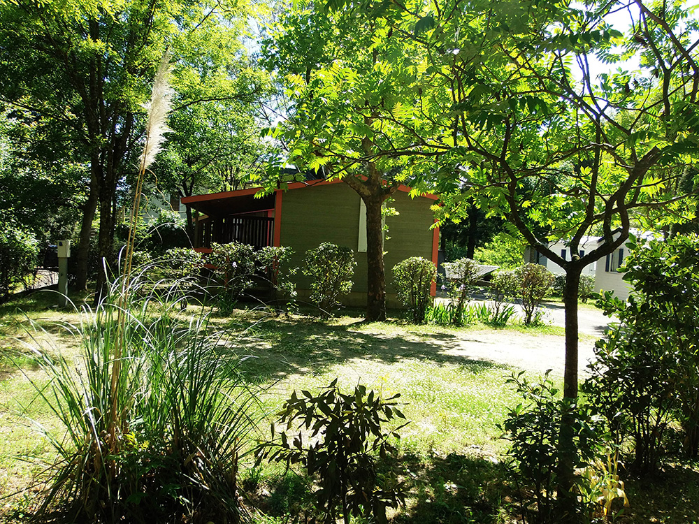 Les Sources Languedoc-Rosellón - Saint-Jean-du-Gard visuel 9/10 Les Sources Languedoc-Rosellón - Saint-Jean-du-Gard visuel 9/10