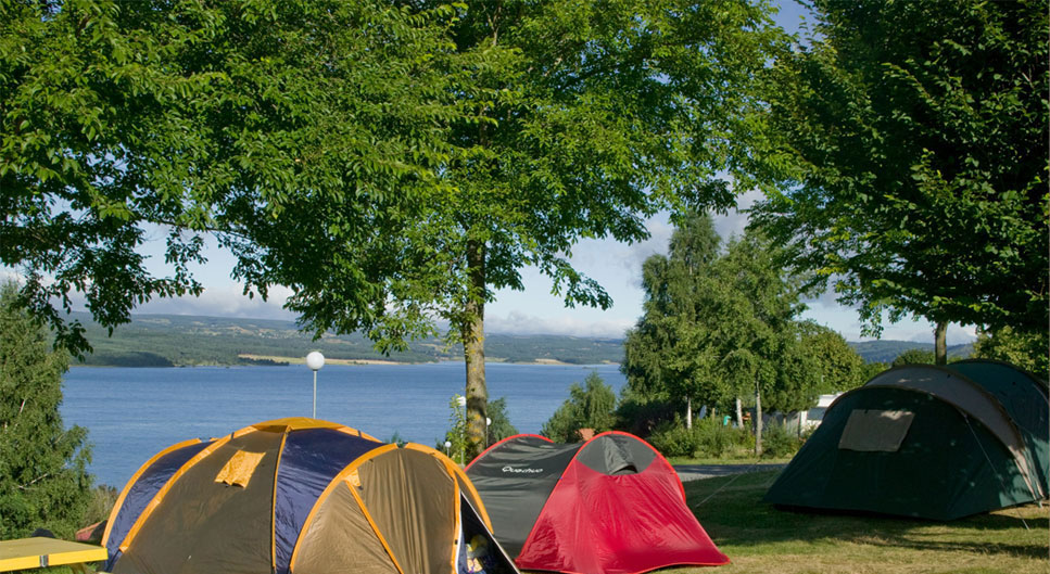 Les Terrasses du Lac Languedoc-Rosellón - Langogne visuel 7/9 Les Terrasses du Lac Languedoc-Rosellón - Langogne visuel 7/9
