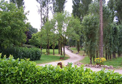 Les Tournesols Países del Loira - Le Grez visuel 5/5 Les Tournesols Países del Loira - Le Grez visuel 5/5