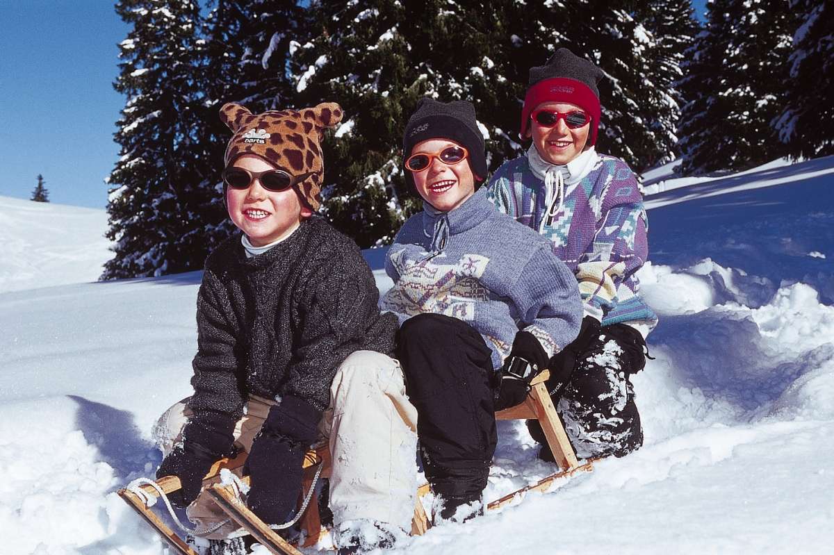 Les Trois Oiseaux Franco Condado - Prémanon visuel 1/1 Les Trois Oiseaux Franco Condado - Prémanon visuel 1/1