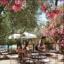 Les Verguettes Provenza-Alpes-Costa Azul - Villes-sur-Auzon visuel 5/5